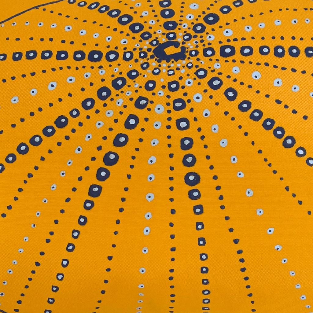 Coussin Bod lanmè Echinoza - Jaune