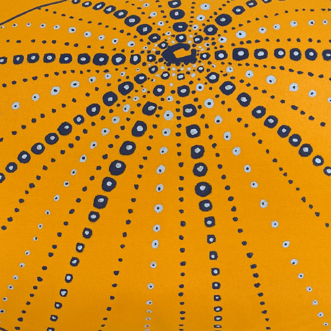 Coussin Bod lanmè Echinoza - Jaune